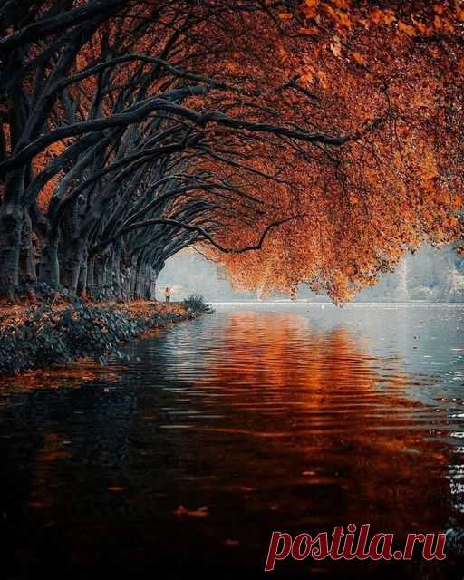 Бальденайзе, Германия 🍂