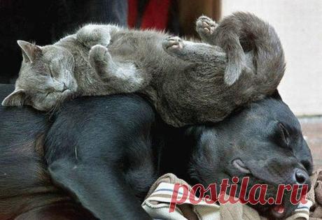 Мой Мир@Mail.Ru