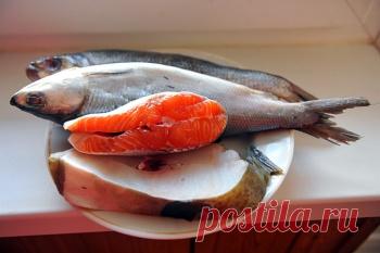 Омега 3: чтобы сохранить красоту, умейте правильно выбрать рыбий жир