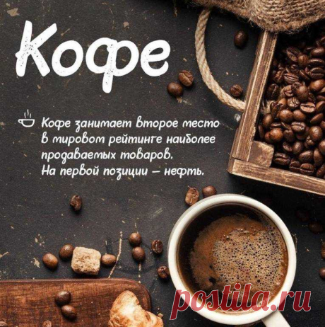 Цитаты о кофе: афоризмы, прикольные высказывания, пословицы