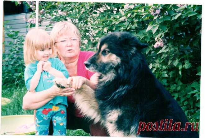 Всеобщая любовь