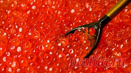 Икорный обман