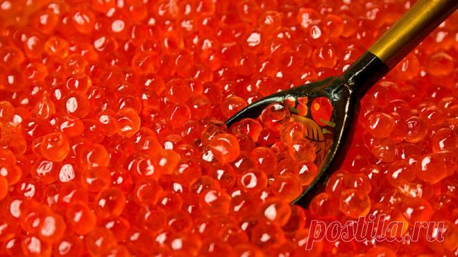 Икорный обман