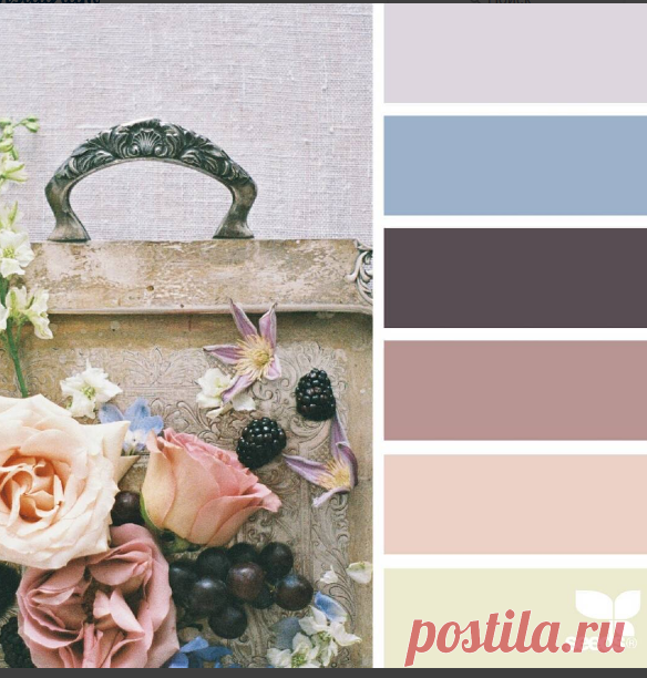 jessica colaluca (@designseeds) • Фото и видео в Instagram