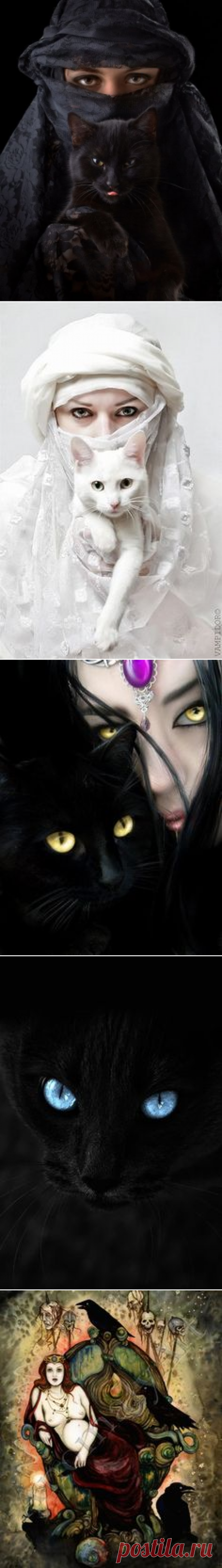 (1) Пин от пользователя B. N. на доске Life in Color ~ Black