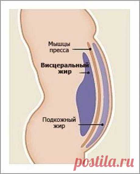 КРАСОТА И ЗДОРОВЬЕ – Колекції – Google+