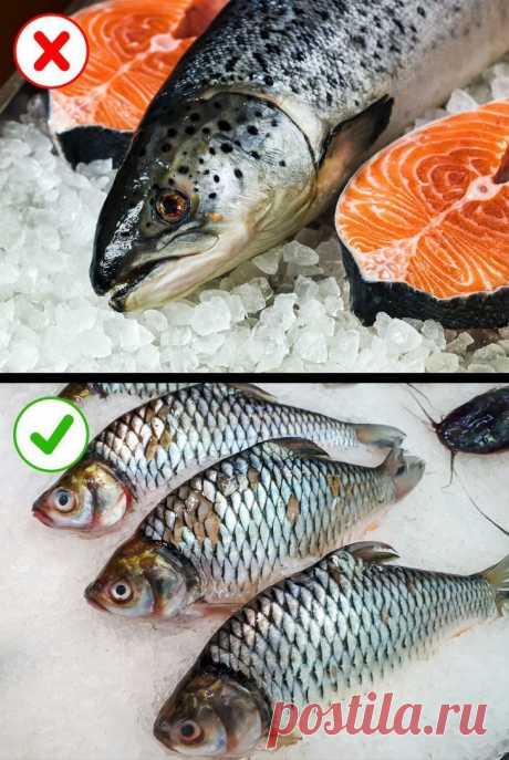 Какую замороженную рыбу не стоит есть: 8 советов для выбора полезного продукта | Диеты со всего света
