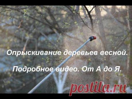 Опрыскивание деревьев весной.Подробное видео.От А до Я.