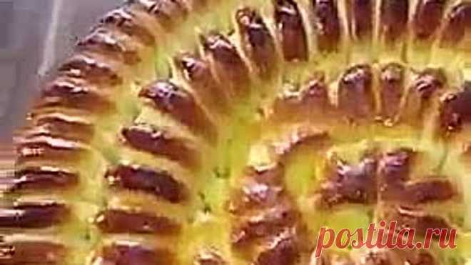 ПИРОГ К ЧАЮ С ВИШНЯМИ😋