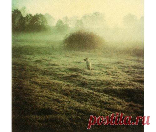 Фотографии Андрея Тарковского в книге «Instant Light» — Фотошедевры