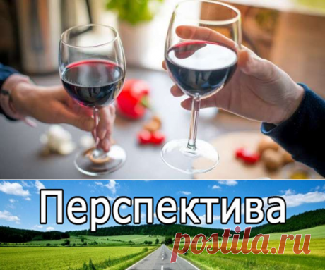 О пользе красного вина | Pravdoiskatel