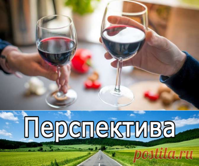 О пользе красного вина | Pravdoiskatel
