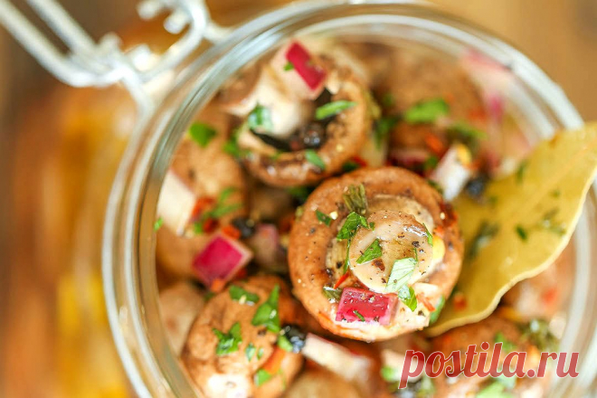 Вкусные маринованные грибы – подборка рецептов с фото