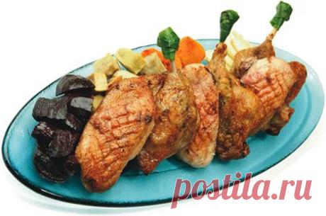Рецепты с индейкой, курицей, цыпленком, уткой и перепелкой от шеф-поваров московских ресторанов - Газета.Ru | Стиль жизни