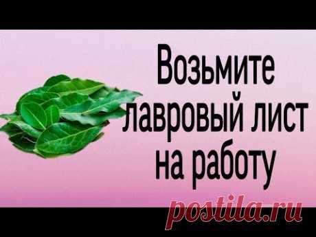 Возьмите лавровый лист на работу. | Тайна Жрицы |
