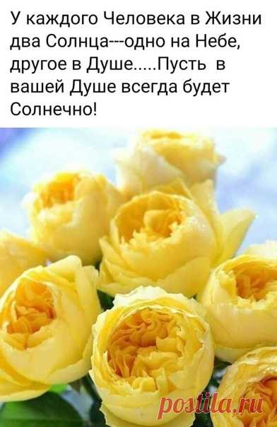 — Здравствуйте! — поздоровался Молодой человек, войдя внутрь магазина и рассматривая полочки с разнообразными шкатулочками и скляночками.
— Здравствуйте! — приветливо ответила ему уже немолодая Продавщица.
— Скажите, пожалуйста, а есть ли у вас... Любовь...?
— О, Любовь во все времена невероятно популярна и всегда пользуется большим спросом.
— И сколько же она стоит?
— Очень-очень дорого. Любовь — это сильное светлое чувство, сильно концентрированное, и продаётся граммами....