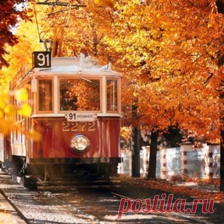 Хочу в Чехию