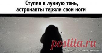 12 малоизвестных фактов о Луне, которые вас удивят (Не ожидали такого подвоха от Колумба) Космос манит мечтателей, но совсем не обязательно тратить световые годы на то, чтобы добраться до таинственных планет. Даже ближайшее небесное тело, Луна, таит в себе немало загадок и открытий. Например, вам известно, что лунная пыль токсична, на поверхности спутника есть могила, а на Земле растут деревья, которые побывали на Луне?
