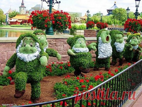 фестиваль цветов