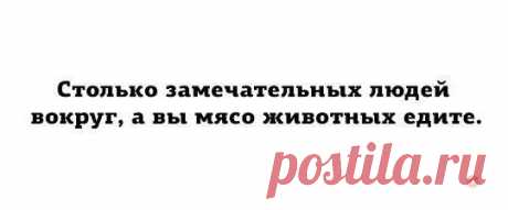Диалоги