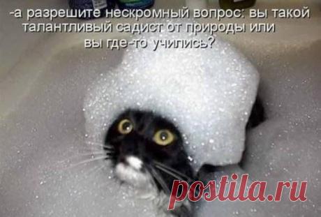 Самые интересные посты у нас