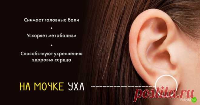 10 секретных точек на теле, благодаря которым можно использовать