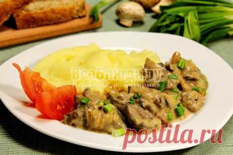 Куриная печенка с грибами в сметанном соусе