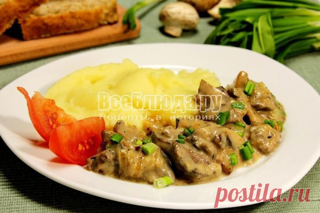 Куриная печенка с грибами в сметанном соусе
