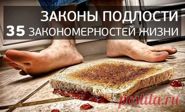 Законы подлости. 35 закономерностей жизни! | Повидло