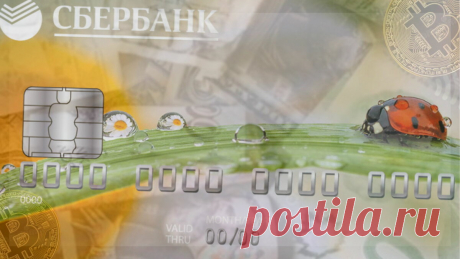 Почему я считаю, что Сбербанк-это не только банк, но и надёжный бизнес, в который инвестирую | БогатаяЯ | Яндекс Дзен