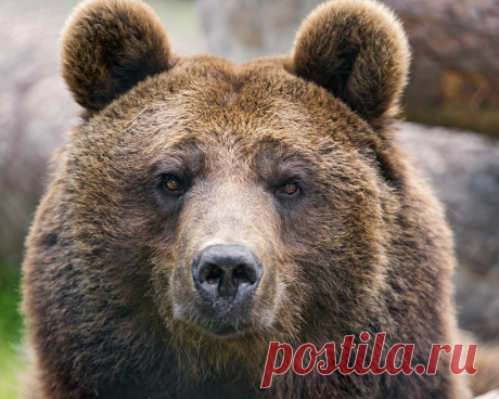 10 лучших фотографий 2014-го года по версии SuperCoolPics - Путешествуем вместе