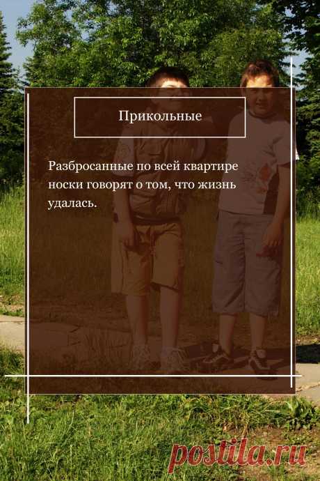 Цитата про «Приколы» — Разбросанные по всей квартире носки говорят о…