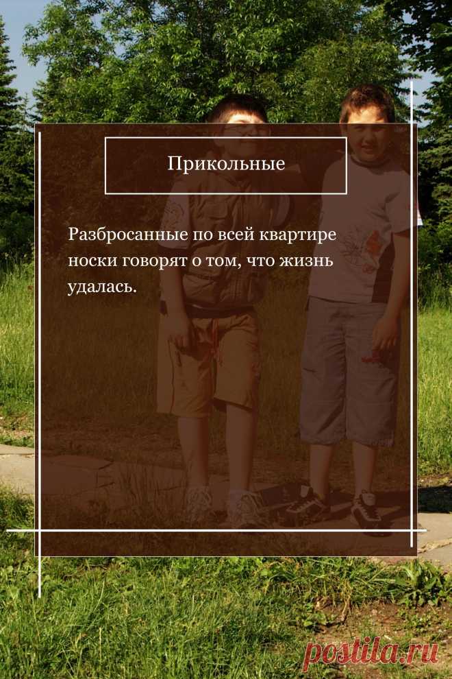 Цитата про «Приколы» — Разбросанные по всей квартире носки говорят о…