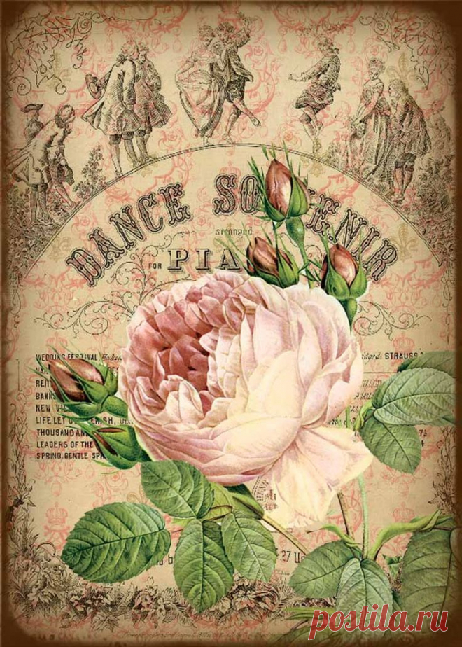 d1a15b8f682af38b6e9cb51e9b84def4.jpg (736×1030)
