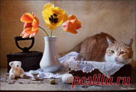 35PHOTO - Eleonora Grigorjeva - Мягкие игрушки