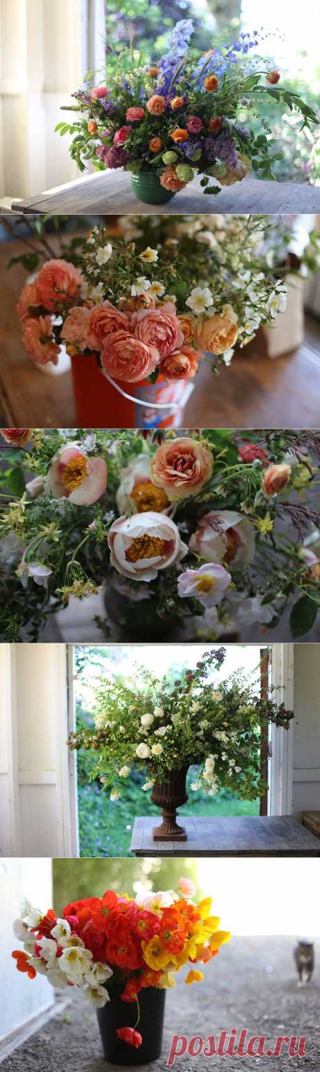 Прекрасные букеты дизайнера Erin Benzakein / Floret Flower Farm.