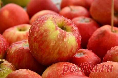 7 продуктов для ужина, которые помогут нашему телу сжигать жир активнее