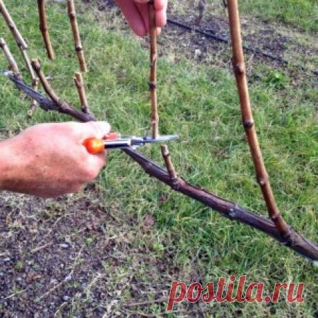 Как сделать Пугало огородное - МирТесен