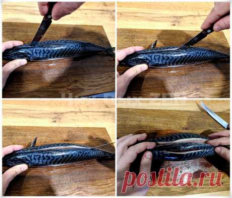 Фаршируем скумбрию не снизу, а сверху - не ожидали, что будет настолько вкусно! | Чих Пых | Яндекс Дзен