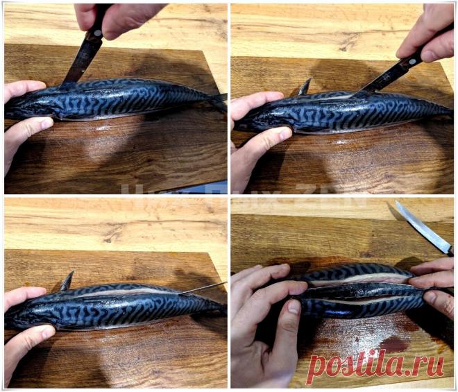 Фаршируем скумбрию не снизу, а сверху - не ожидали, что будет настолько вкусно! | Чих Пых | Яндекс Дзен