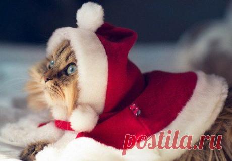 Всем хорошего / Социальная погода