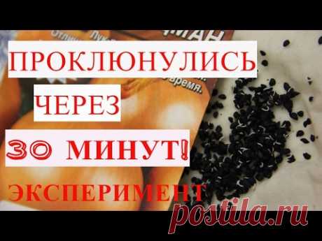 ШОК! Семена проклюнулись через 30 минут! Эксперимент.