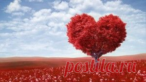 Четыре традиционных заблуждения о любви | Ladys Book