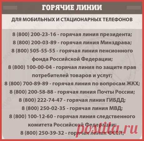 ГОРЯЧИЕ ЛИНИИ