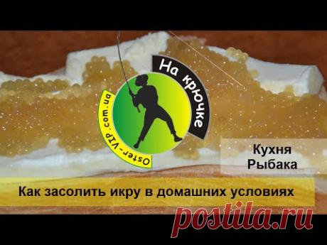 Как правильно засолить икру щуки и другой речной рыбы в домашних условиях - рецепт
