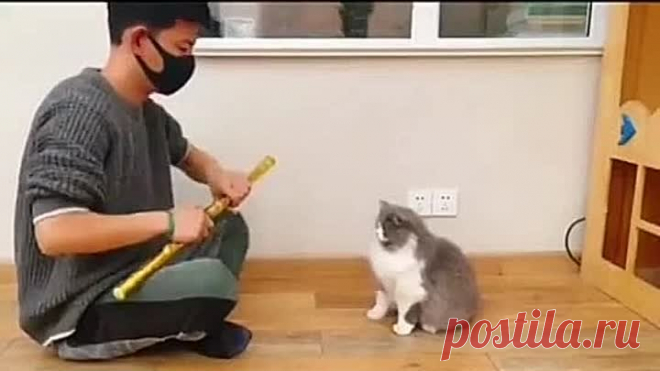Путь самурая опасен😊