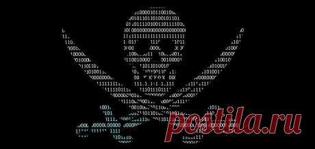 Пираты подают апелляцию на вечную блокировку - Hi-Tech Mail.Ru