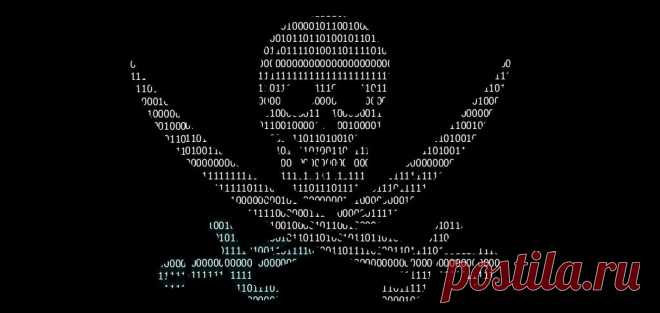 Пираты подают апелляцию на вечную блокировку - Hi-Tech Mail.Ru
