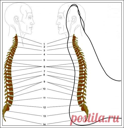 Массаж стопы снимет боли в спине