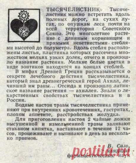 Тысячелистник